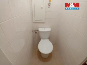 Pronájem bytu 1+1, Hradec Králové - Moravské Předměstí, Štefánikova, 32 m2