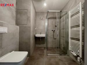 Prodej bytu 1+kk, České Budějovice - České Budějovice 6, Chelčického, 46 m2