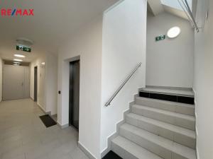 Prodej bytu 1+kk, České Budějovice - České Budějovice 6, Chelčického, 46 m2