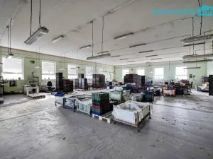 Prodej výrobních prostor, Plesná, Dlouhá, 2031 m2