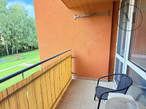 Prodej bytu 3+1, Netolice, Hornická, 73 m2