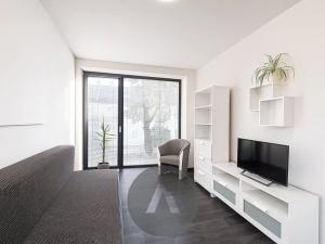 Pronájem bytu 1+kk, Brno, Šámalova, 28 m2