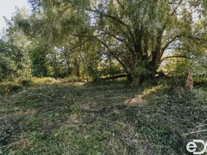 Prodej pozemku pro bydlení, Višňová, 3564 m2