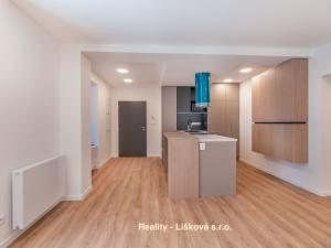 Pronájem bytu 1+kk, Ústí nad Labem, Bělehradská, 56 m2