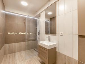 Pronájem bytu 1+kk, Ústí nad Labem, Bělehradská, 56 m2