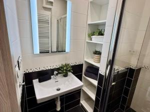 Pronájem bytu 2+1, Hradec Králové - Pražské Předměstí, U Koruny, 68 m2