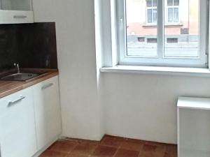 Pronájem bytu 1+1, Cheb, Mánesova, 25 m2