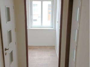 Pronájem bytu 1+1, Cheb, Mánesova, 25 m2