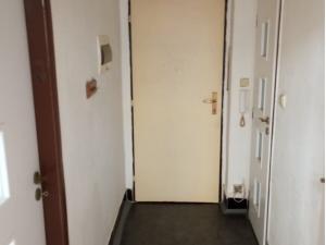 Pronájem bytu 1+1, Cheb, Mánesova, 25 m2