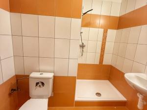 Pronájem bytu 2+1, Strašice, 50 m2