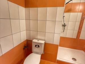 Pronájem bytu 2+1, Strašice, 50 m2