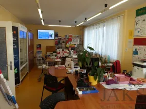 Pronájem skladu, Sušice - Sušice II, Pražská, 238 m2