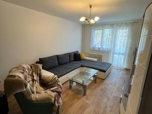 Pronájem bytu 2+1, Chomutov, Marie Pujmanové, 53 m2