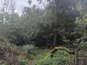 Prodej zahrady, Obrnice, Mírová, 766 m2