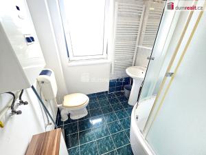 Pronájem bytu 1+1, Plzeň - Východní Předměstí, Jetelová, 46 m2
