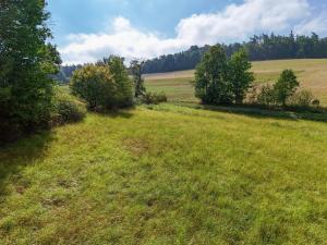 Prodej pozemku pro bydlení, Lomnice - Brusná, 3532 m2