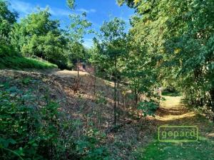 Prodej pozemku, Jivno, 745 m2