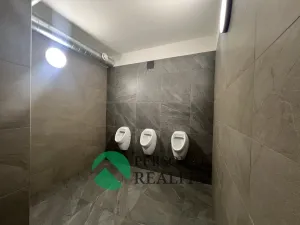 Pronájem výrobních prostor, Herink, Hlavní, 1106 m2