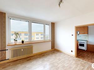 Pronájem bytu 2+1, Pardubice - Černá za Bory, Na Rybníčkách, 42 m2