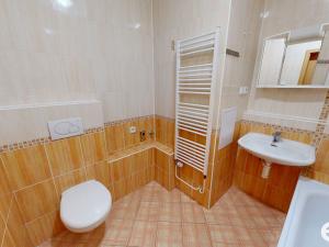 Pronájem bytu 2+1, Pardubice - Černá za Bory, Na Rybníčkách, 42 m2