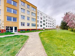 Pronájem bytu 2+1, Pardubice - Černá za Bory, Na Rybníčkách, 42 m2