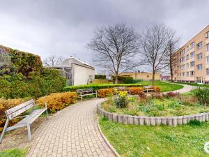 Pronájem bytu 2+1, Pardubice - Černá za Bory, Na Rybníčkách, 42 m2