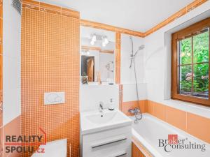Prodej chaty, Starý Plzenec, U Přírodního divadla, 37 m2