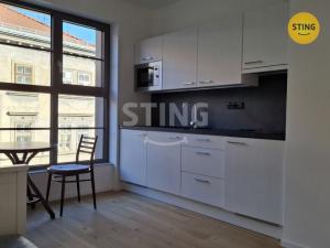 Pronájem bytu 1+kk, Brno, Bratislavská, 23 m2