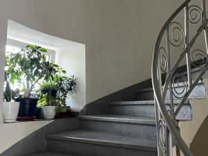Prodej bytu 1+1, Jablonné v Podještědí, Zdislavy z Lemberka, 47 m2