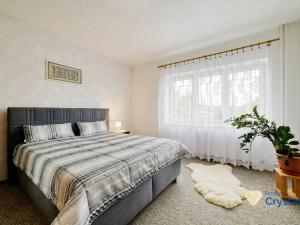 Prodej rodinného domu, Tachov, Petra Jilemnického, 450 m2