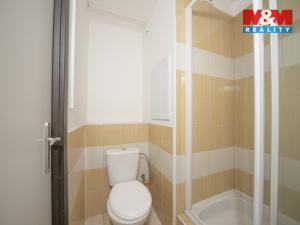 Prodej bytu 2+kk, Děčín - Děčín V-Rozbělesy, Závodní, 42 m2