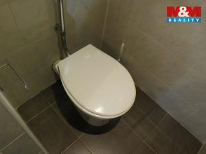 Pronájem bytu 1+1, Louny, Petra Obrovce, 35 m2