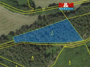 Prodej lesa, Borovnice, 38344 m2