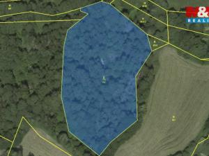 Prodej lesa, Borovnice, 38344 m2