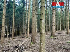 Prodej lesa, Borovnice, 38344 m2