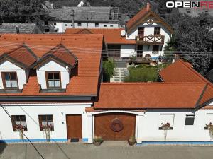Prodej vícegeneračního domu, Dolní Bojanovice, Vinařská, 367 m2