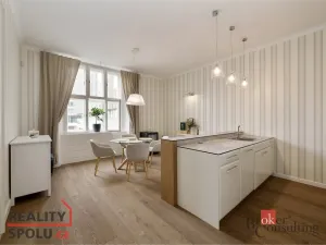 Prodej bytu 2+1, Praha - Staré Město, Elišky Krásnohorské, 105 m2
