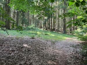 Prodej chalupy, Pustá Rybná, 120 m2