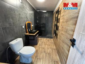 Prodej obchodního prostoru, Příšovice, 70 m2