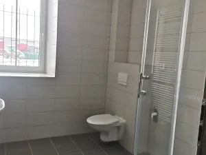 Pronájem bytu 1+kk, Chotěšov, 36 m2