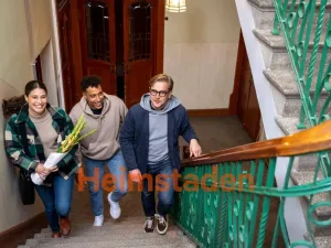 Pronájem bytu 1+1, Frýdek-Místek - Frýdek, Javorová, 35 m2