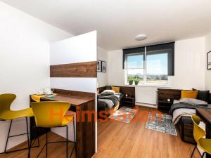 Pronájem bytu 1+kk, Plzeň - Jižní Předměstí, Magisterská, 31 m2