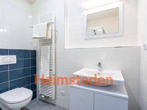 Pronájem bytu 1+kk, Plzeň - Jižní Předměstí, Magisterská, 28 m2