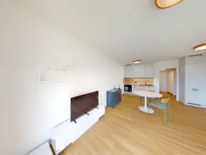 Pronájem bytu 1+kk, Ostrava, U Hájenky, 34 m2