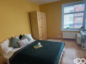 Pronájem bytu 3+kk, Hradec Králové, Rybova, 66 m2