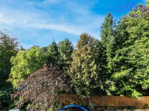 Prodej bytu 6+kk a větší, Dýšina, 17. listopadu, 209 m2