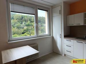 Pronájem bytu 1+kk, Brno - Jundrov, 33 m2