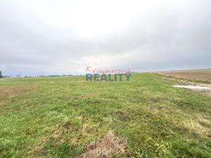 Prodej pole, Ledenice - Zborov, 14160 m2