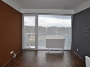 Pronájem bytu 1+kk, České Budějovice - České Budějovice 2, Husova tř., 36 m2