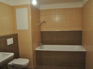 Pronájem bytu 1+kk, České Budějovice - České Budějovice 2, Husova tř., 36 m2
